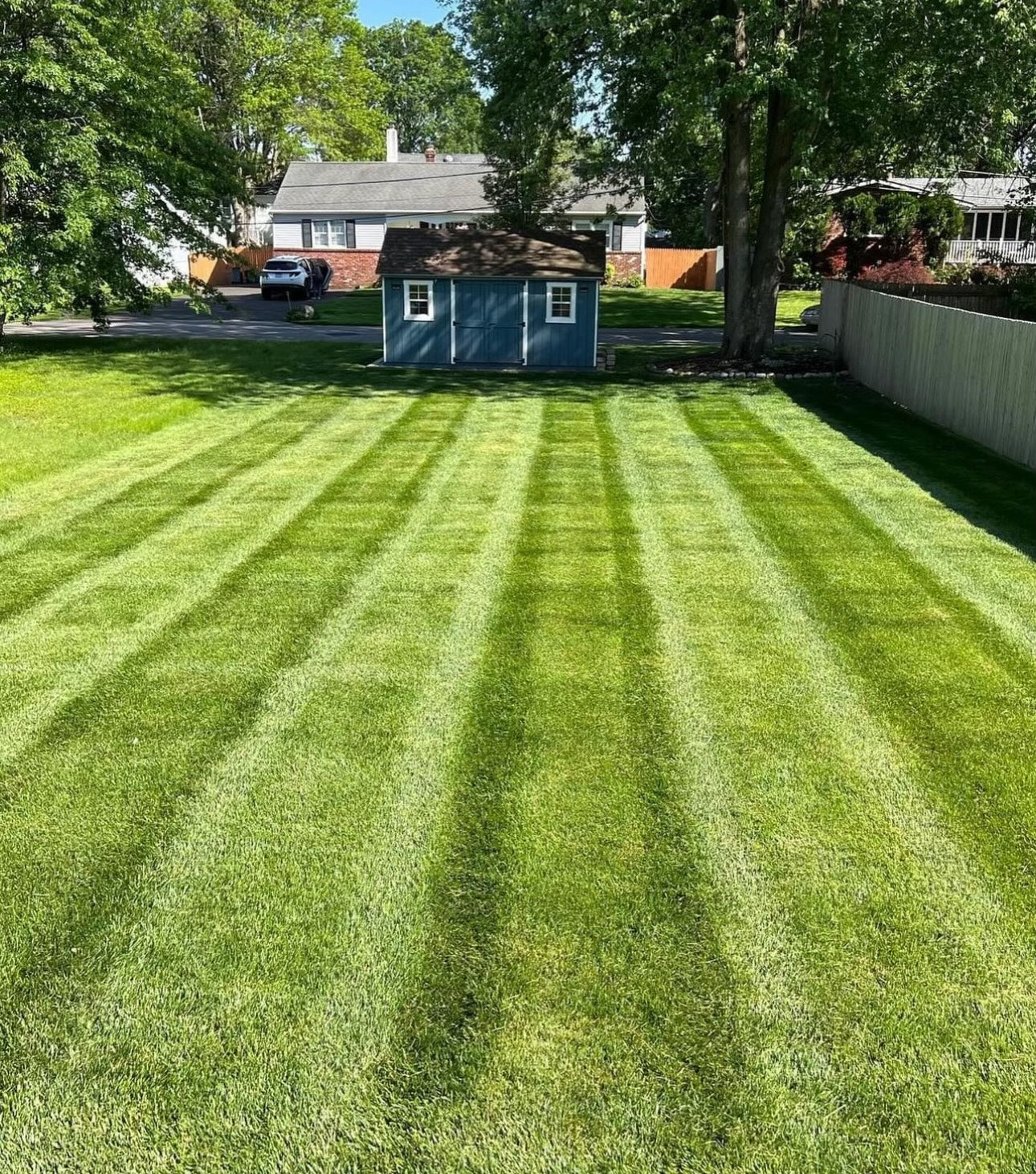 Lawn Maintenance