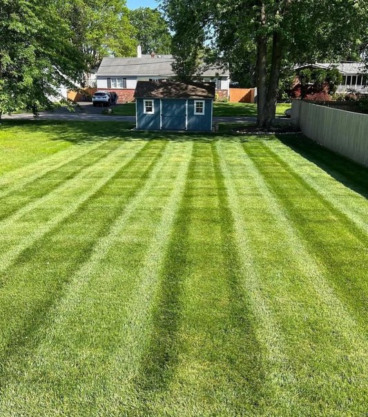 Lawn Maintenance