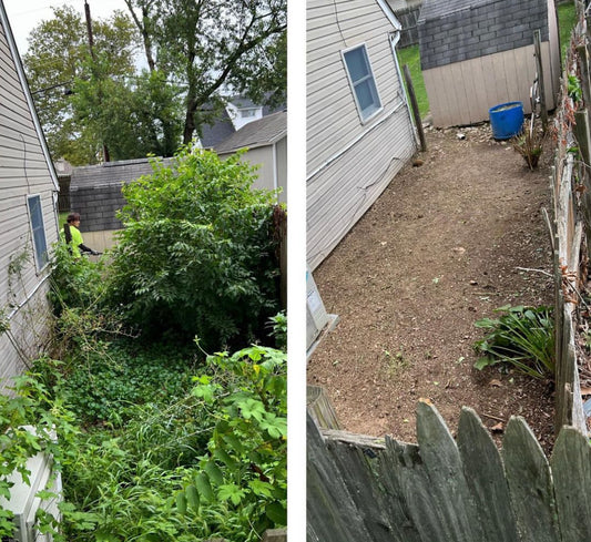 Property Maintenance