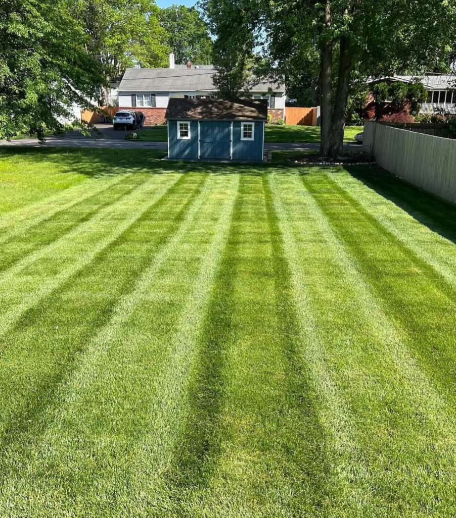 Property Maintenance